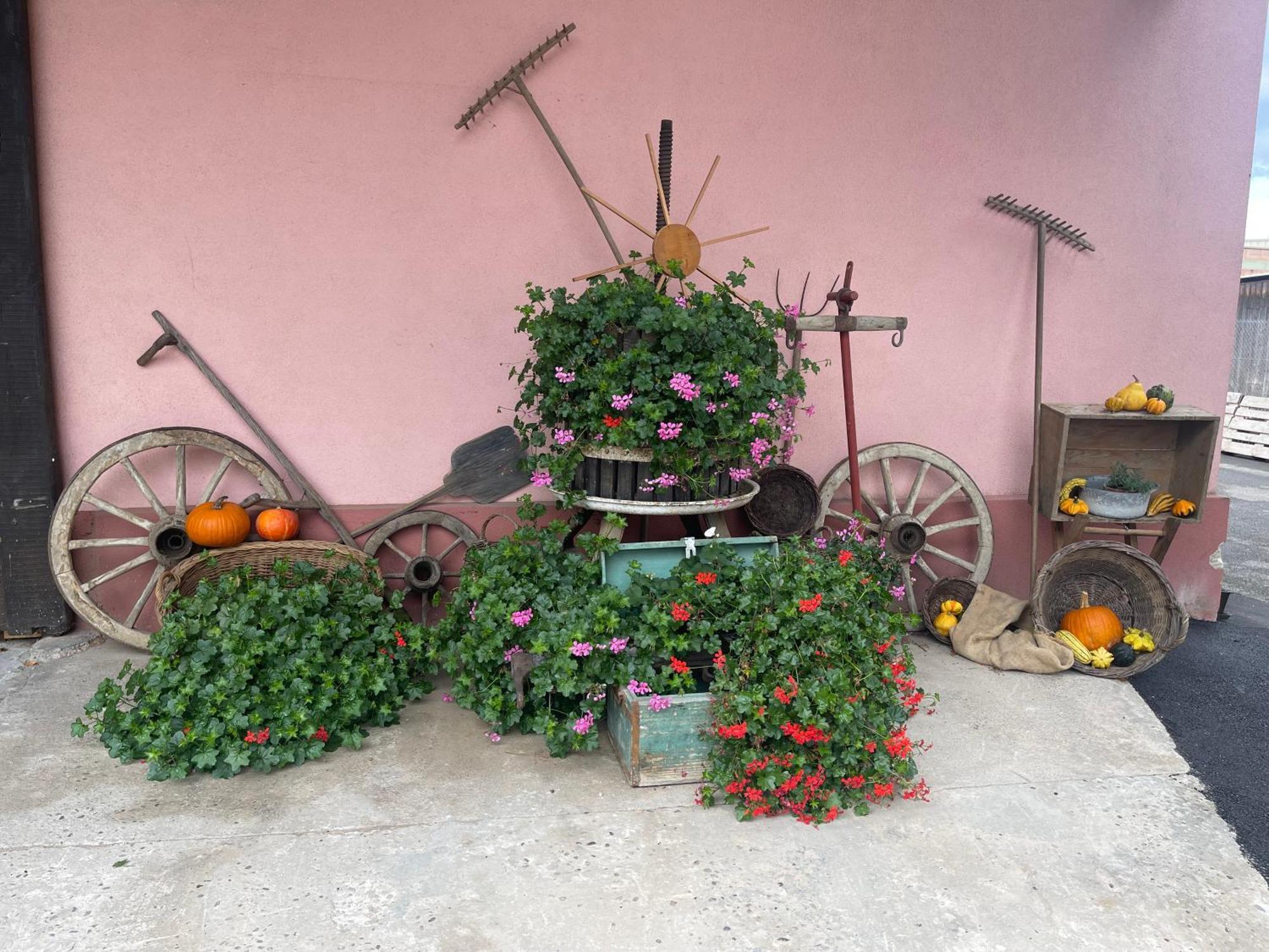 Les Loges De Marianne, Gites D'Exception Proche Europapark Schoenau Bagian luar foto