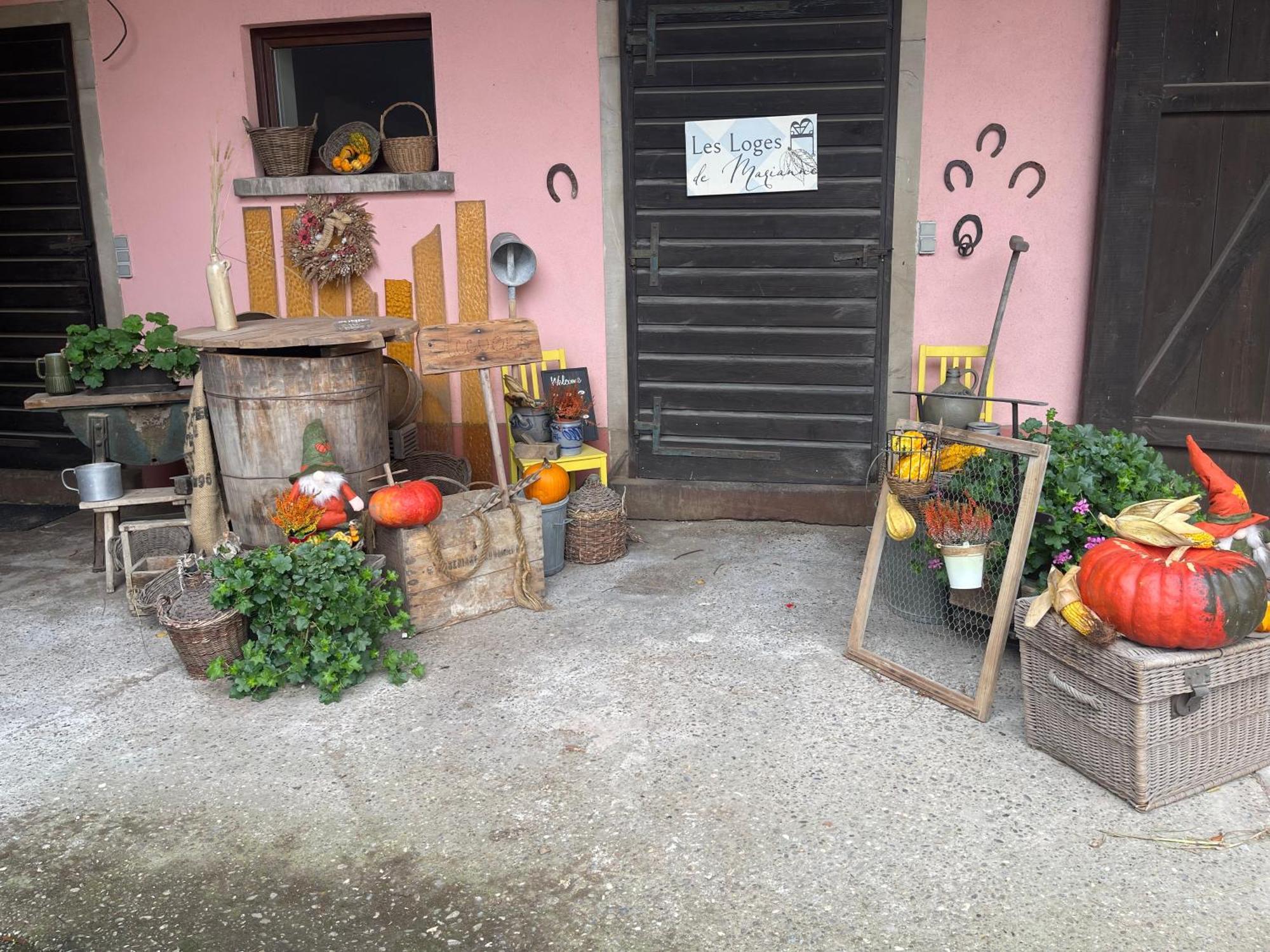Les Loges De Marianne, Gites D'Exception Proche Europapark Schoenau Bagian luar foto